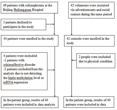 Leptin Methylation and mRNA Expression Associated With Psychopathology in Schizophrenia Inpatients